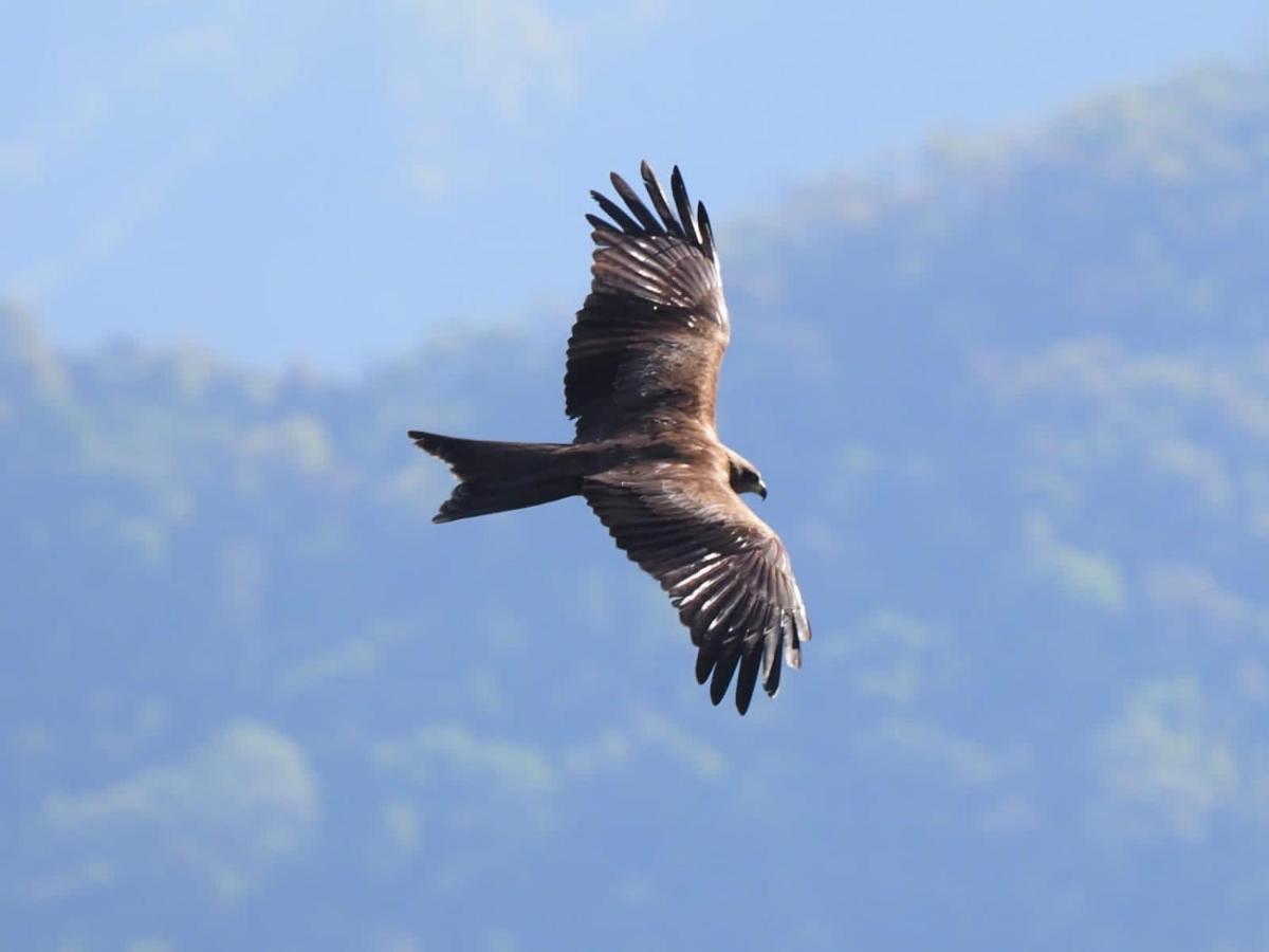 Es Deurali Resort Pokhara Kültér fotó